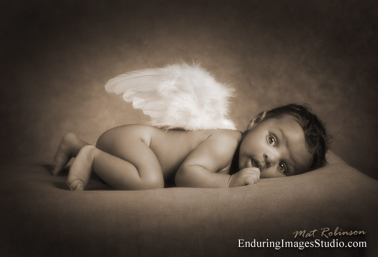Little angel wings newborn portrait done in sepia.